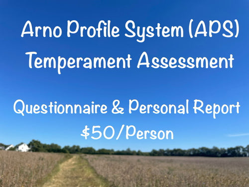 APS Temperament Assessment - Questionnaire & Personal Report