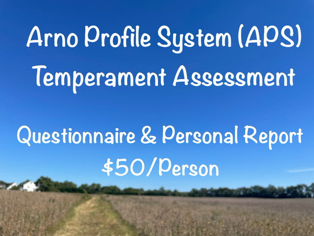 APS Temperament Assessment - Questionnaire & Personal Report