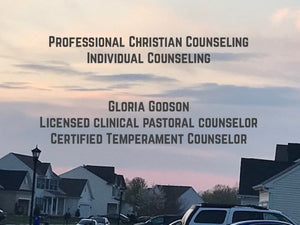 Professional Christian Counseling - Individual